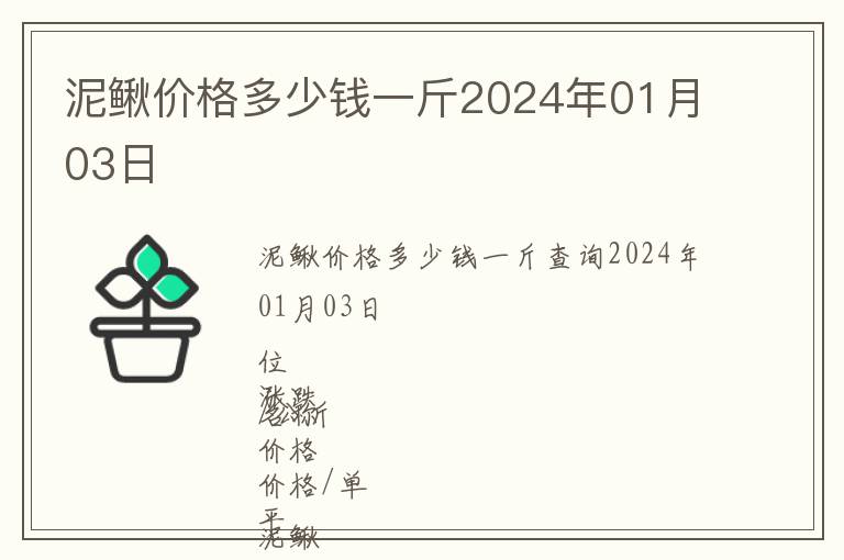 泥鰍價格多少錢一斤2024年01月03日