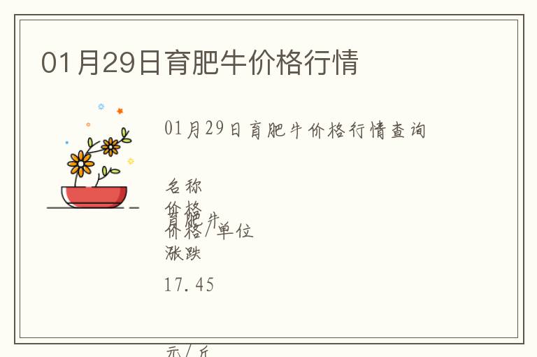 01月29日育肥牛價格行情