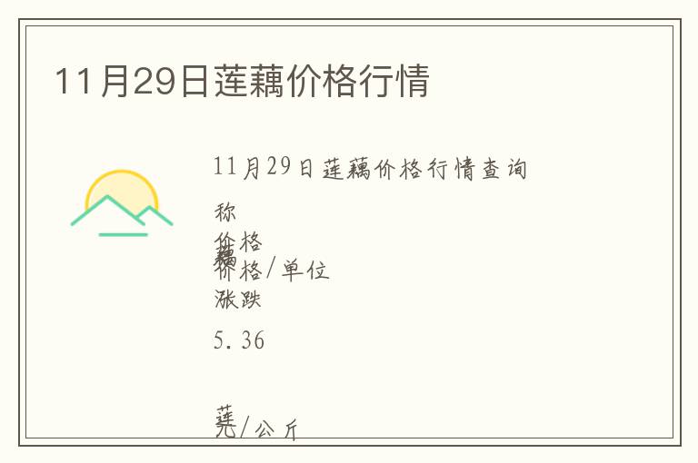 11月29日蓮藕價格行情