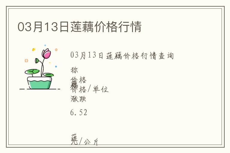 03月13日蓮藕價格行情