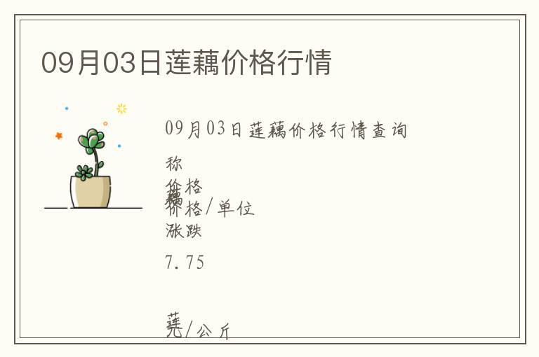 09月03日蓮藕價格行情