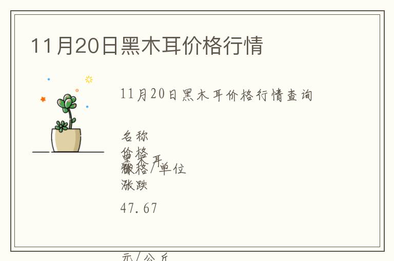 11月20日黑木耳價格行情