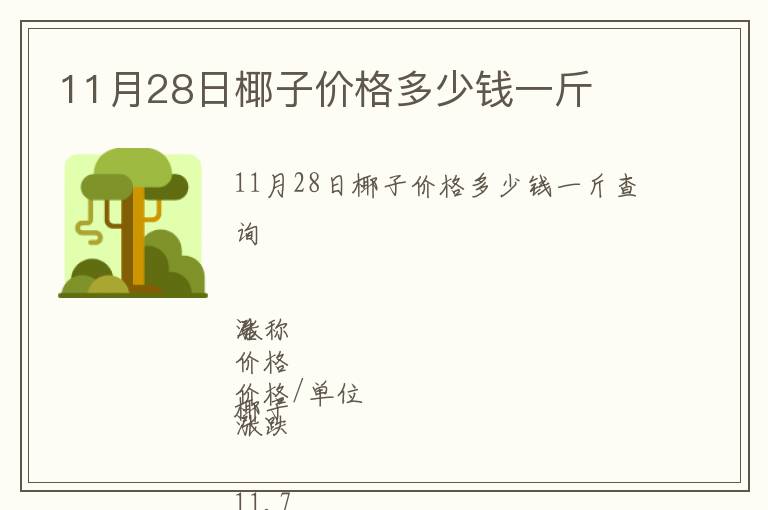 11月28日椰子價格多少錢一斤