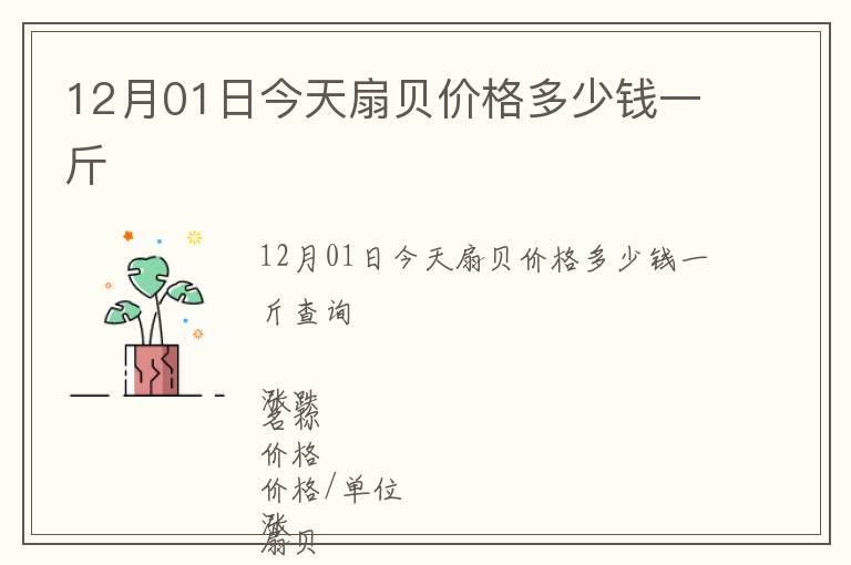 12月01日今天扇貝價格多少錢一斤