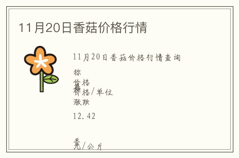11月20日香菇價格行情