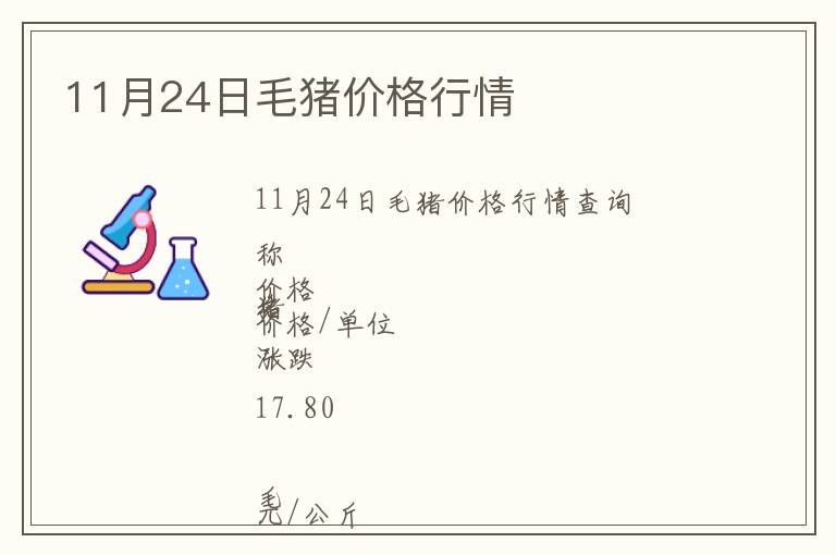 11月24日毛豬價格行情