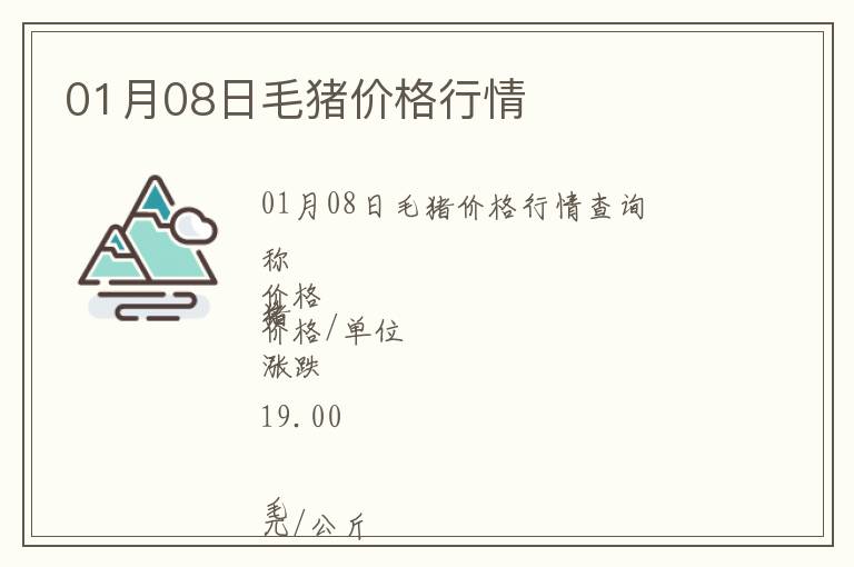 01月08日毛豬價格行情