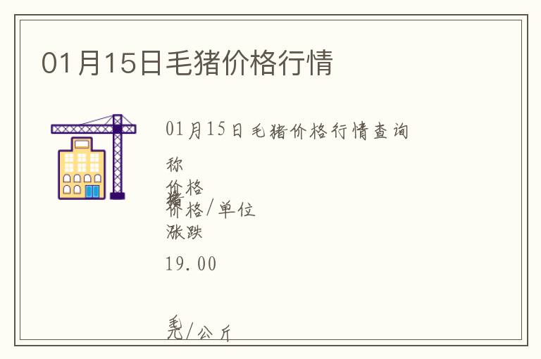 01月15日毛豬價格行情