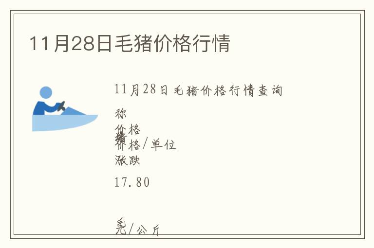 11月28日毛豬價格行情