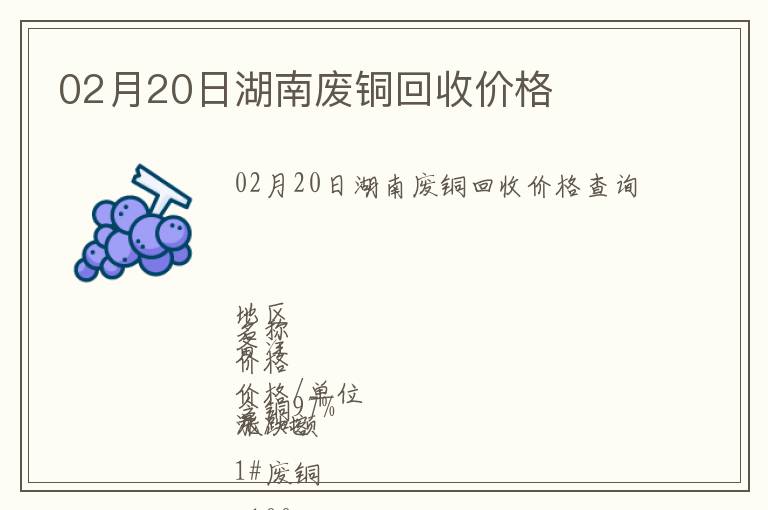 02月20日湖南廢銅回收價格