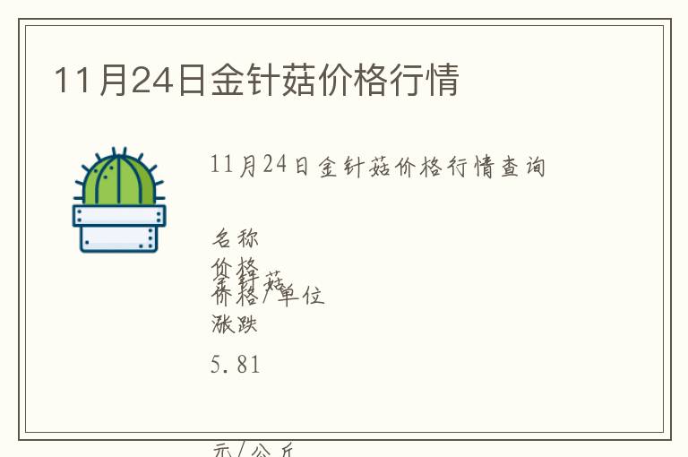 11月24日金針菇價格行情
