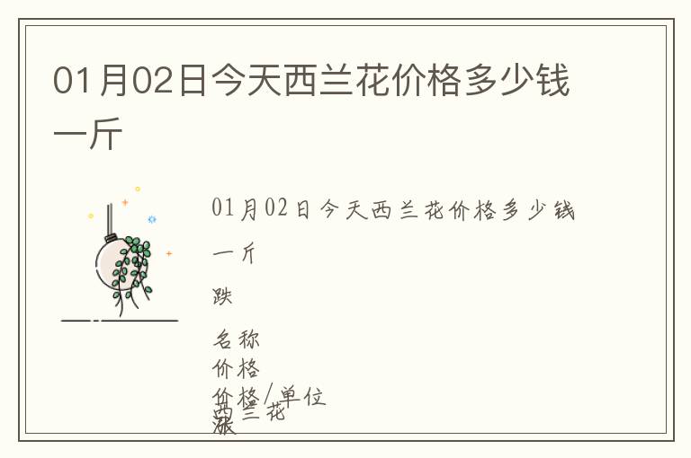 01月02日今天西蘭花價格多少錢一斤