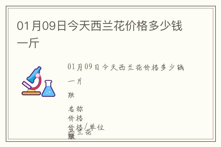 01月09日今天西蘭花價格多少錢一斤