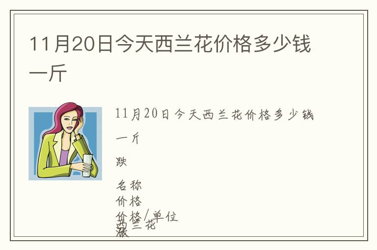 11月20日今天西蘭花價格多少錢一斤