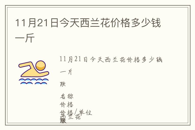 11月21日今天西蘭花價格多少錢一斤