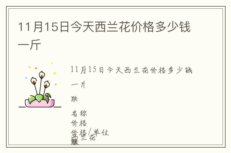 11月15日今天西蘭花價格多少錢一斤