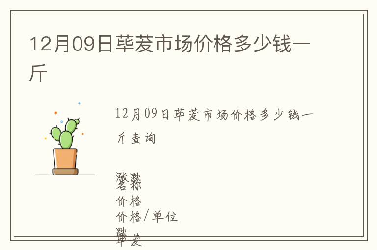 12月09日蓽茇市場價格多少錢一斤