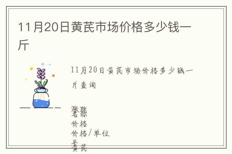 11月20日黃芪市場價格多少錢一斤