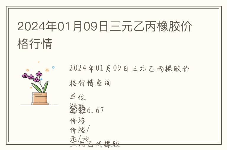 2024年01月09日三元乙丙橡膠價格行情