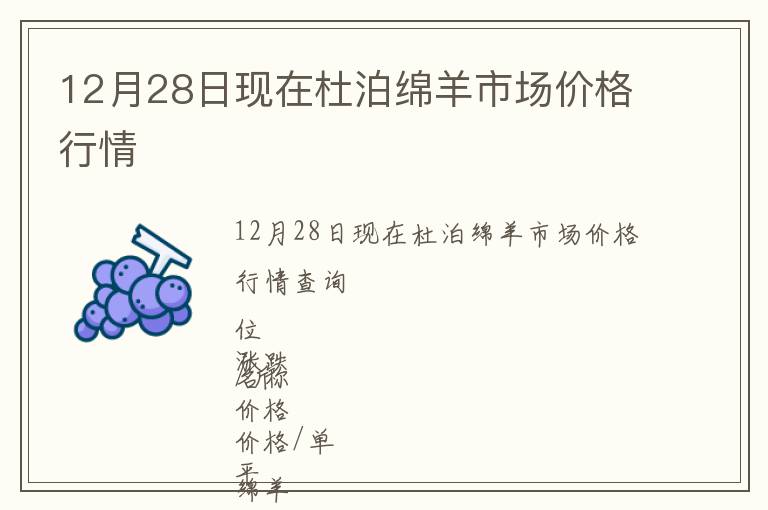 12月28日現在杜泊綿羊市場價格行情