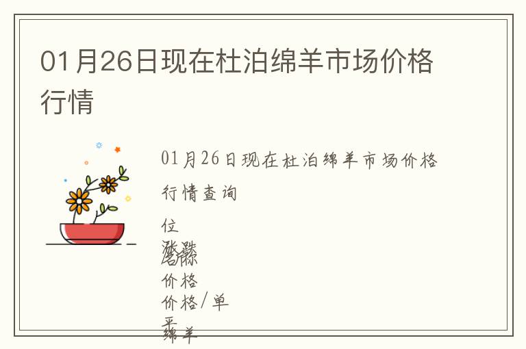 01月26日現在杜泊綿羊市場價格行情