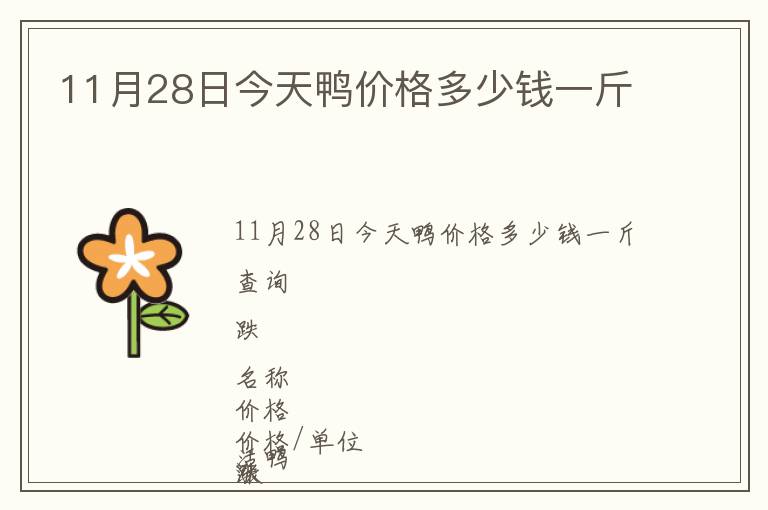 11月28日今天鴨價格多少錢一斤