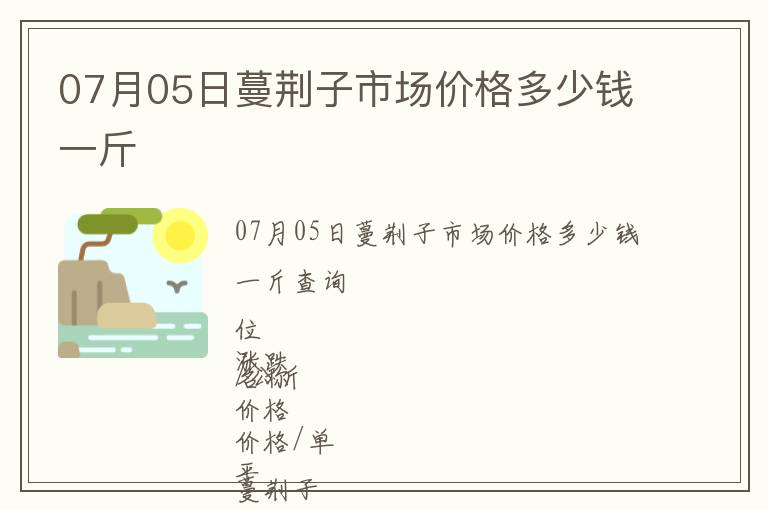 07月05日蔓荊子市場價格多少錢一斤