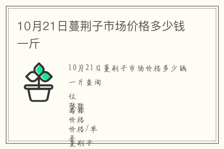 10月21日蔓荊子市場價格多少錢一斤