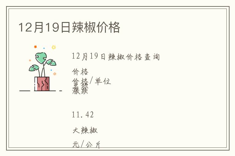 12月19日辣椒價格