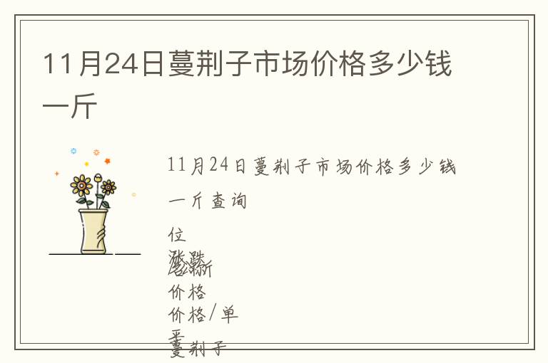 11月24日蔓荊子市場價格多少錢一斤