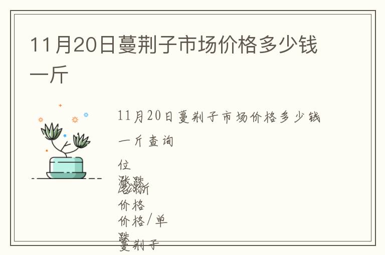 11月20日蔓荊子市場價格多少錢一斤