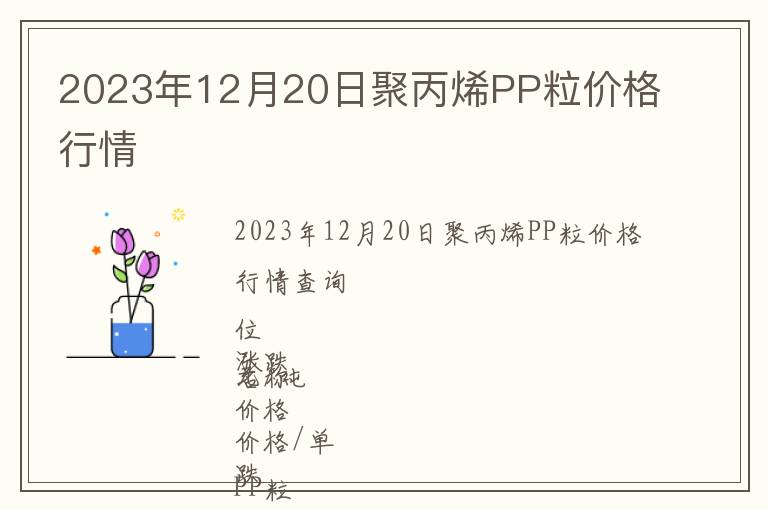 2023年12月20日聚丙烯PP粒價格行情