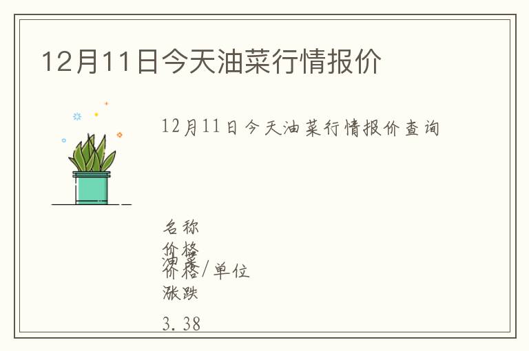 12月11日今天油菜行情報價