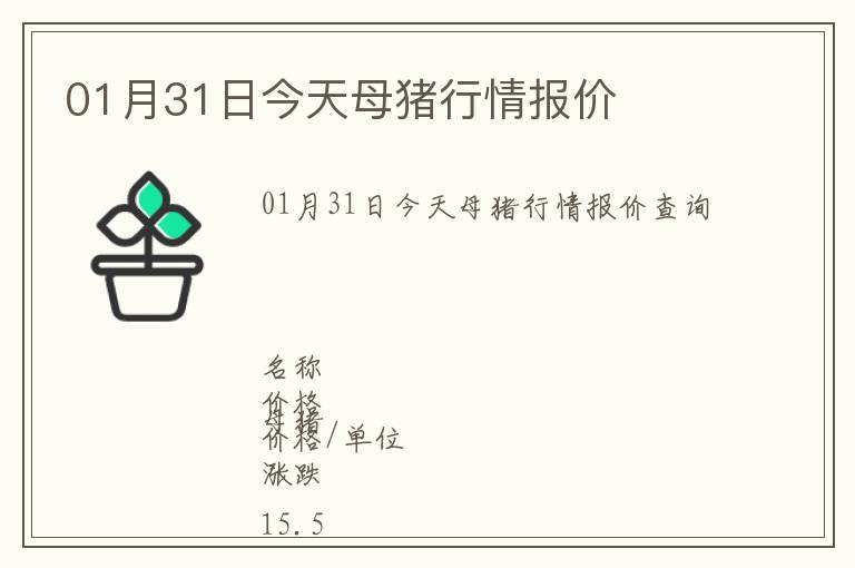 01月31日今天母豬行情報價