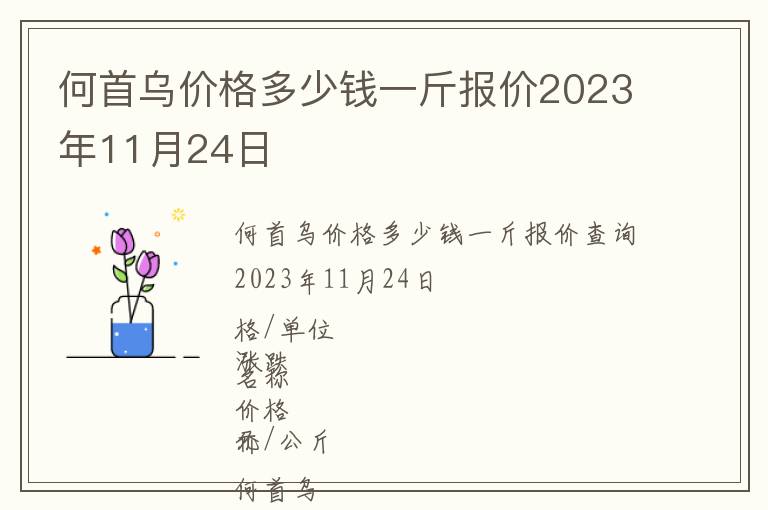 何首烏價格多少錢一斤報價2023年11月24日