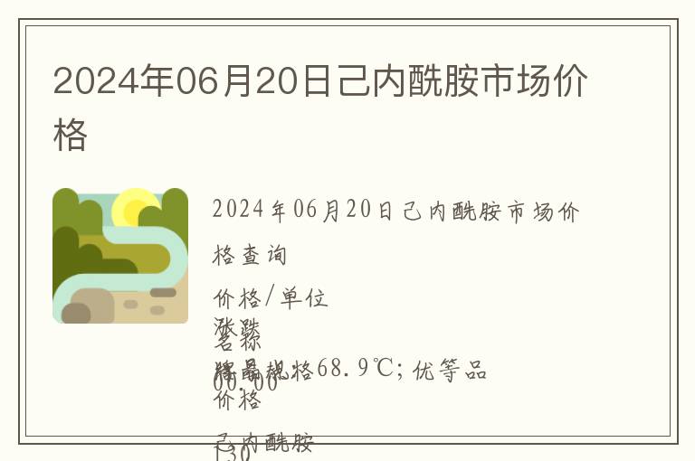2024年06月20日己內酰胺市場價格