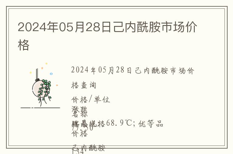 2024年05月28日己內酰胺市場價格