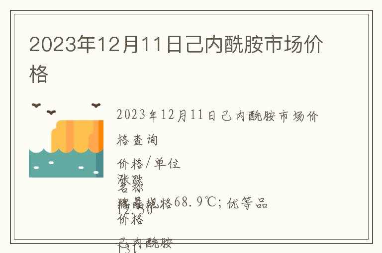 2023年12月11日己內酰胺市場價格