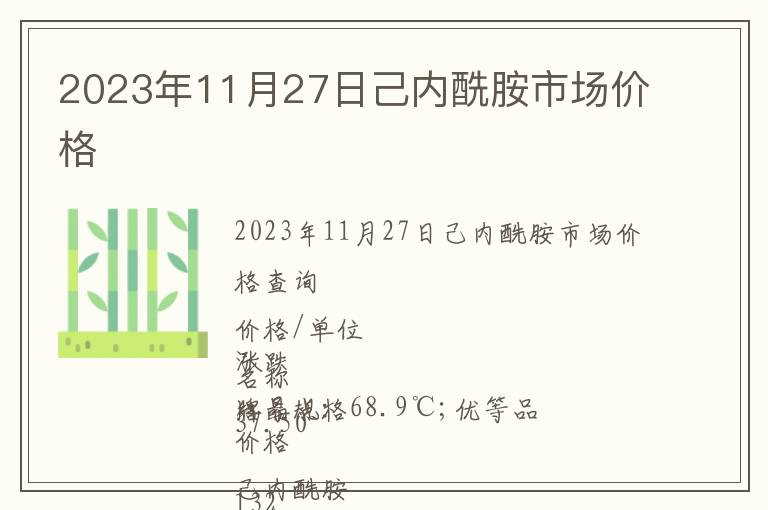 2023年11月27日己內酰胺市場價格