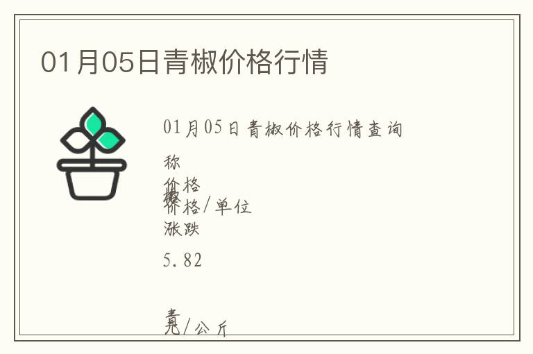 01月05日青椒價格行情