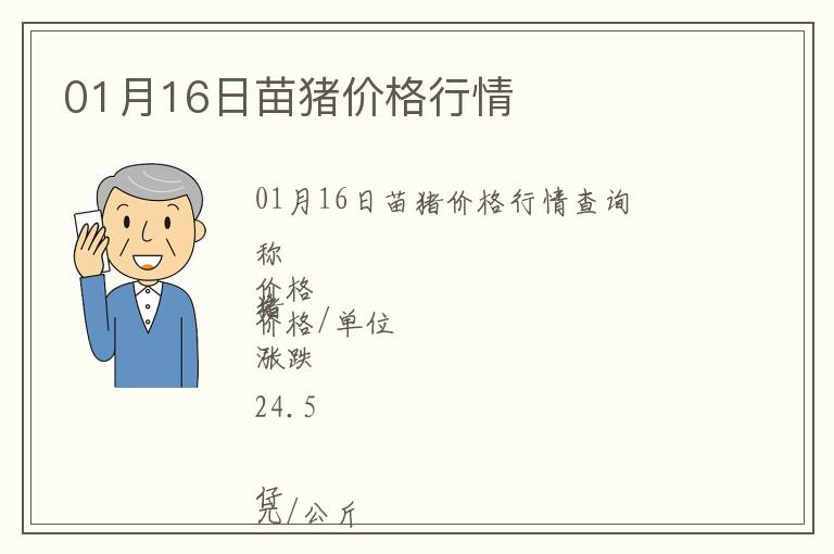 01月16日苗豬價格行情