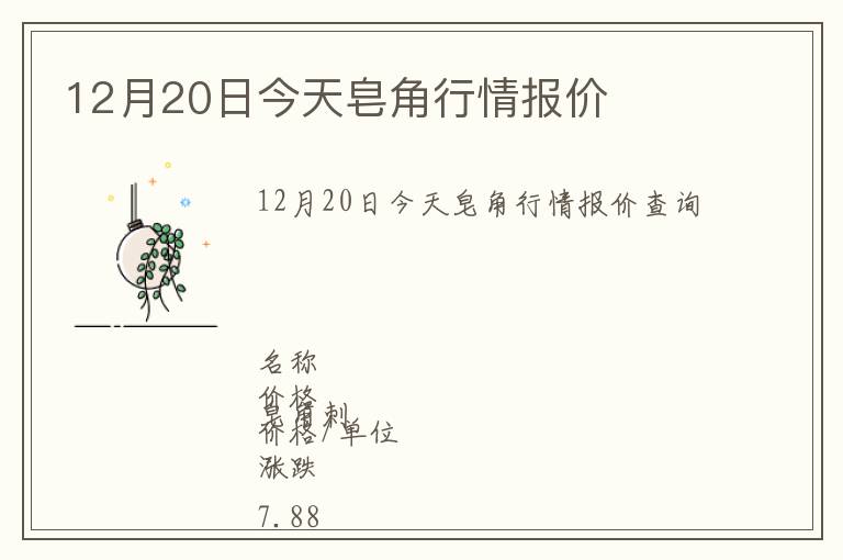 12月20日今天皂角行情報價
